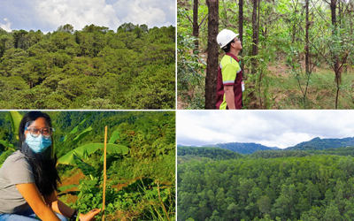 Large-Scale Metallic Miners Take Lead in Ph’s Reforestation Efforts